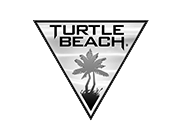 Turtle Beach