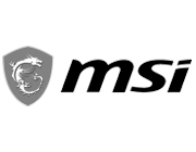 MSI